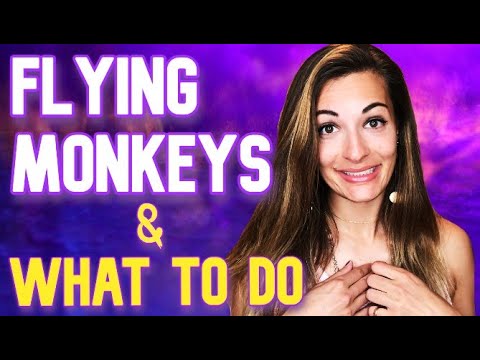 What is a FLYING MONKEY & How to Deal with them? Flying monkeys, Narcissism Abuse, Smear Campaigns