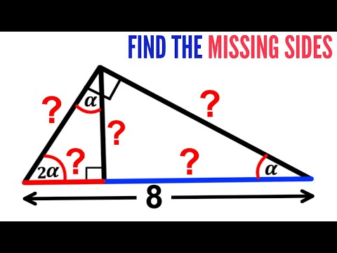 Can you find all the missing side lengths? | (Justify) |#math #maths | #geometry | #trigonometry