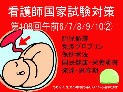 【看護師国家試験対策】第108回午前6/7/8/9/10②胎児循環・免疫グロブリン・国民健康栄養調査・思春期「根拠も楽しくわかる通学教材」【もちぽん先生の解説教室】