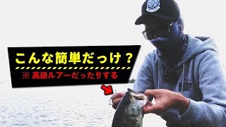 早起きしたらスコーンと釣れた！【バス釣り 琵琶湖 オカッパリ】