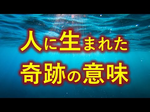 人間に生まれたことは奇跡の中の奇跡