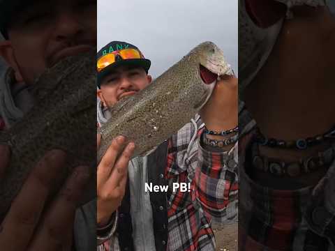 PB Lassen Trout‼️ Lake Camanche! #fishing #pb #trout #fish #california #lassen #bankfishing #shorts