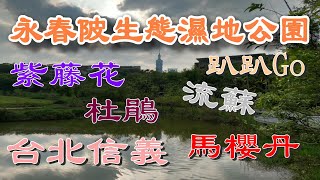 台北信義｜永春陂生態濕地公園#趴趴Go @ H.Y.