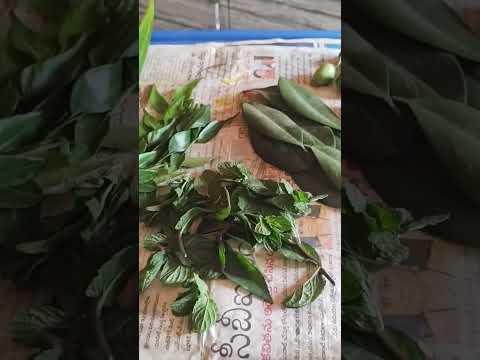 five types of vegetables from my terrace garden