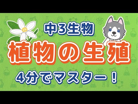 中3理科『植物の有性生殖』