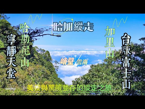 【哈加縱走】哈勘尼/加里山:挑戰極限，縱走的驚險與壯麗