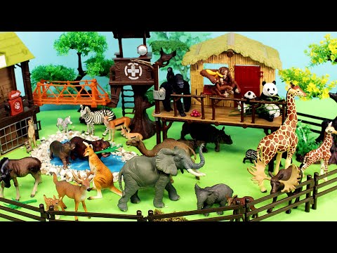 Animal Care Center Diorama and Animal Figurines