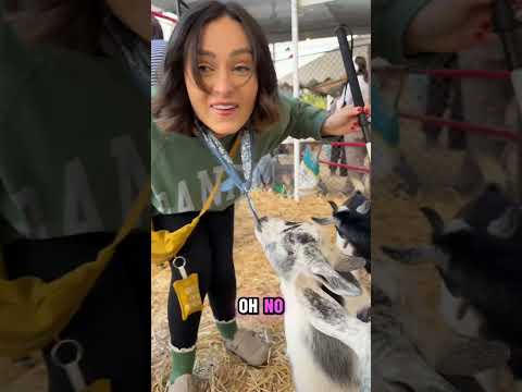 Touching animals I’ve never seen before!! 🦯👀