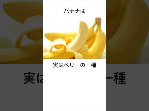 意外と知らない雑学②#雑学#豆知識