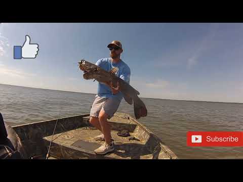 Santee Cooper Bass Fishing with a bonus CATFISH  #bassfishing #catfishing #fishing