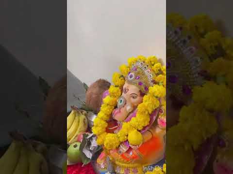 Ganpati visarjan on hoverboard by mishy and tishy