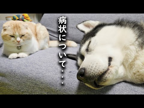 今朝の病状について...