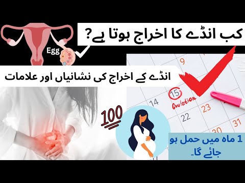 Egg kab Release hota ha time? Ovulation day kab hota ha? 7 Sign symptom of ovulation Days Urdu Hindi