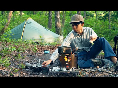 Camping in spring forest