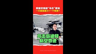 韩国济州航空空难 ｜ 飞鸟撞飞机真有这么严重？ 曾有2客机鸟击后安全迫降 书写“航空奇迹”