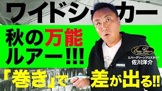 【佐川洋介プロ】ワイドシーカーは秋シーバス万能ルアー!!エバーグリーンの新作ルアー紹介😍