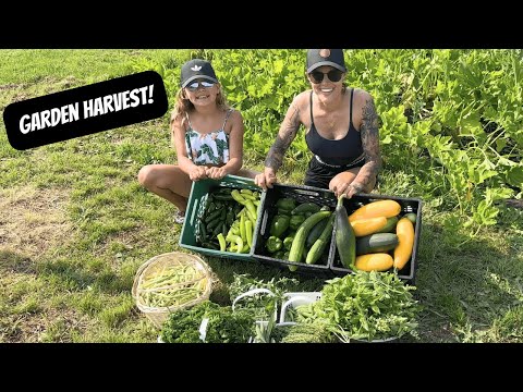 Garden Harvest | Homestead Garden