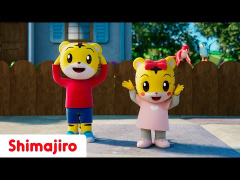 🎵👐 Let's Learn & Sign Together | 🌟🤟 Sign Language Celebration with Shimajiro 🐯 | Songs for Kids