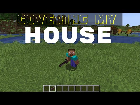 Covering my House | Minecraft in Hindi