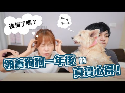 後悔了⁉️領養流浪狗一年後的真實心得😓古娃娃WawaKu