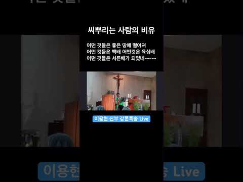 씨뿌리는 사람의 비유(이용현 신부 강론특송 Live)