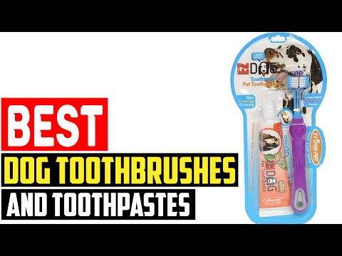 ✅ Top 5 Best Dog Toothbrushes and Toothpastes in 2023