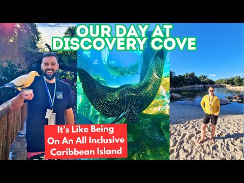 Discovery Cove - The BEST Attraction In Orlando, Showing The Food & What's Included In The Price