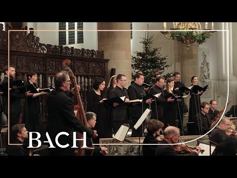 Bach - Et resurrexit from Mass in B minor BWV 232 | Netherlands Bach Society