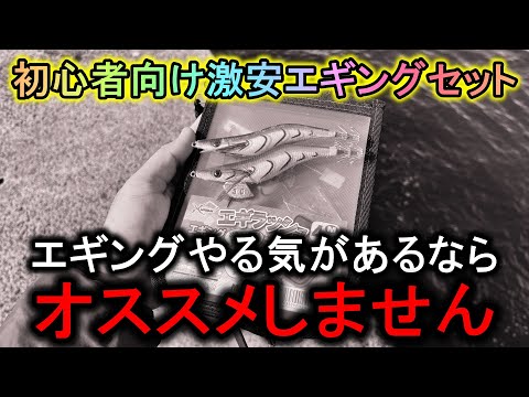 「初心者エギングセット」でイカが釣れるか試した結果、なぜか文句が止まらない事態に…