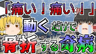 【1910年～】くしゃみをしただけでも骨折してしまう奇病...100年以上苦しんだ公害『イタイイタイ病』【ゆっくり解説】