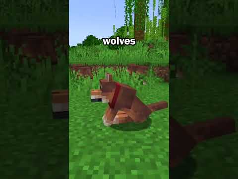 Minecraft Added NEW Dog Variants To The Game!