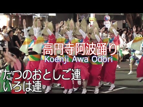 東京高円寺阿波おどり2019 #15「たつのおとしご連・いろは連」Koenji Awa Odori