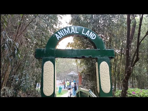 Animal Land, Shillong.@tenchisatv944