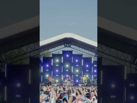 シンガーズハイ「ノールス」LIVE@WILD BUNCH FEST. 2024