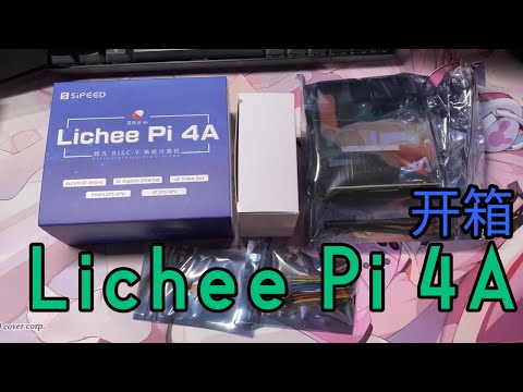 迟来的 LicheePi 4A 开箱 & 能跑 Minecraft 服务器吗？ [字]