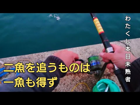 カマスがよく釣れてる状況で欲に負けてアジ釣りもやった結果…