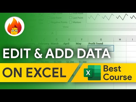 How to Add & Edit Data on Excel