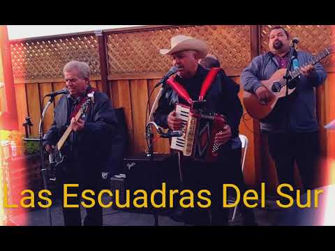 Las Escuadras Del Sur