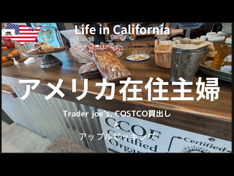 【アメリカ在住主婦】今週のTrader Joe's,COSTCO買出し｜アップルピッキング｜