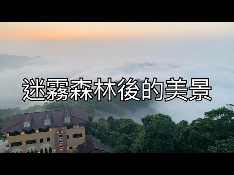 【苗栗景點】｜迷霧森林後的美景｜當花農體驗採杭菊｜苗栗美食推薦