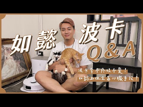 波卡與如懿Q&A｜誰是萬千寵愛的嫡子？誰爹不疼娘不愛？他們都討厭莞莞｜科沃斯 T10 Plus