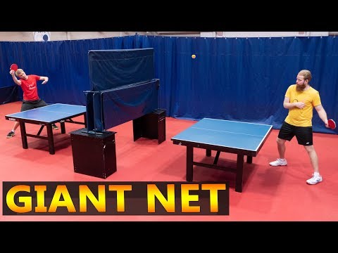 Giant Net Ping Pong