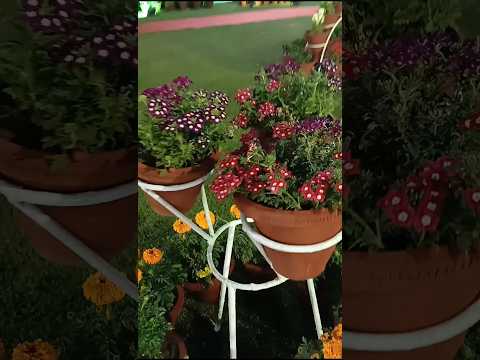 Beautiful flowers #viralvideo #youtubeshorts #flowers #minivlog #subscribe #trendingshorts