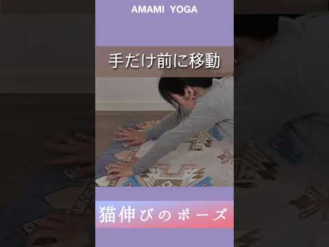 【痩せにくいと感じたらやるべきポーズ】背中ほぐして全身スッキリヨガ！#あまみヨガ#amamiyoga#市川あまみ#スカイツリーヨガ#ヨガ初心者#猫のび#ヨガ#yoga#背中ほぐし#リラックス#簡単