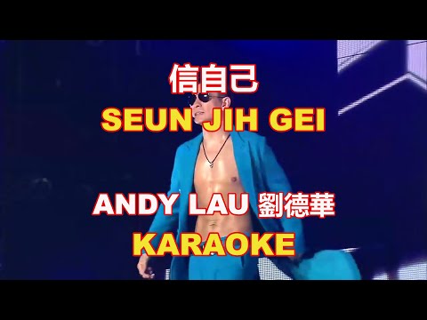 Andy Lau - Seun Ji Gei 信自己 [KARAOKE]