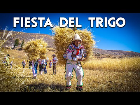 En este pueblo aún se conserva una COSTUMBRE ANCESTRAL | Fiesta de la Siega, HUARIPAMA | DOCUMENTAL