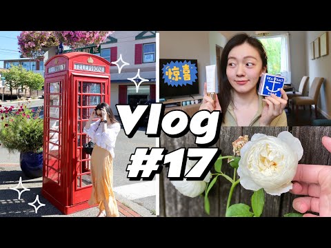 VLOG#17 | 家居好物测评 | 生日买了啥 | DIY项目现状 | LILYSILK | MECMOR夏日敏感护理 | 洗碗机 |办公椅 |  西雅图周边Bainbridge岛一日游