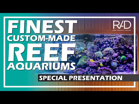 FINEST CUSTOM-MADE REEF AQUARIUMS BY REEF AQUARIA DESIGN - SPECIAL PRESENTATION