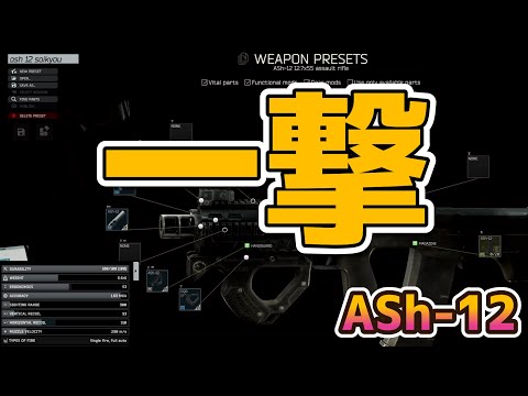 【タルコフ】胴体一撃AR！最強ワンパンライフルを使うずんだもん実況/ASh-12＆PS12B