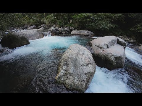 與老同學同遊太平山 (三) - 山毛櫸國家步道,松羅國家步道,礁溪五旗峰瀑布 (Sep. 2023)